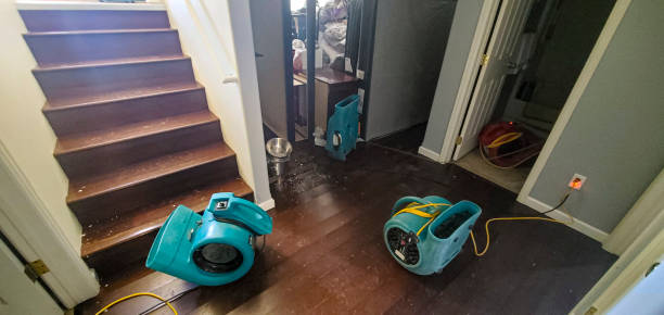 Best Flood restoration services  in Encinal, TX