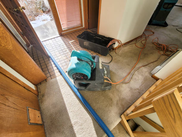 Best Water damage contractors near me  in Encinal, TX