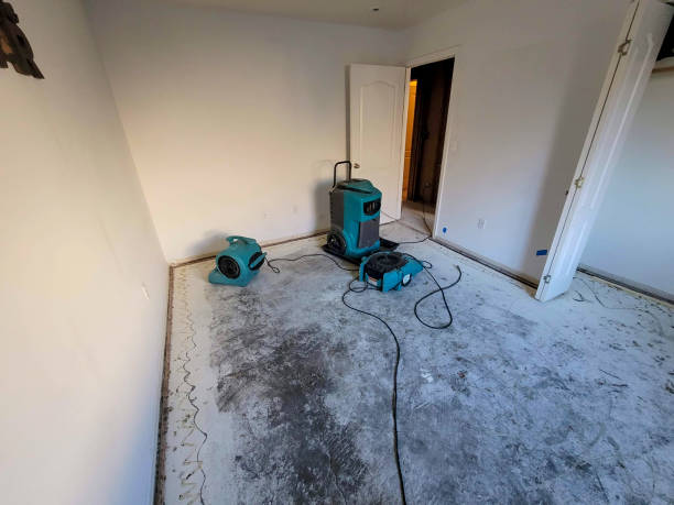 Best Local water damage restoration  in Encinal, TX