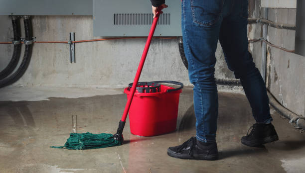 Best Water damage restoration company  in Encinal, TX