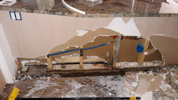 Best Water damage restoration mold remediation  in Encinal, TX
