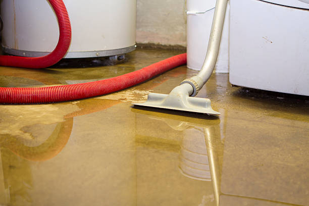 Best Fire Damage Restoration  in Encinal, TX