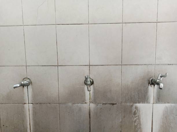  Encinal, TX Water damage restoration Pros