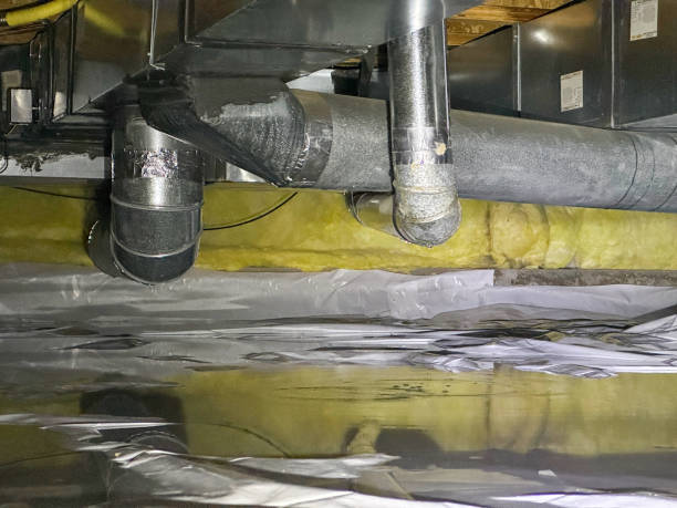 Best Commercial water damage restoration  in Encinal, TX