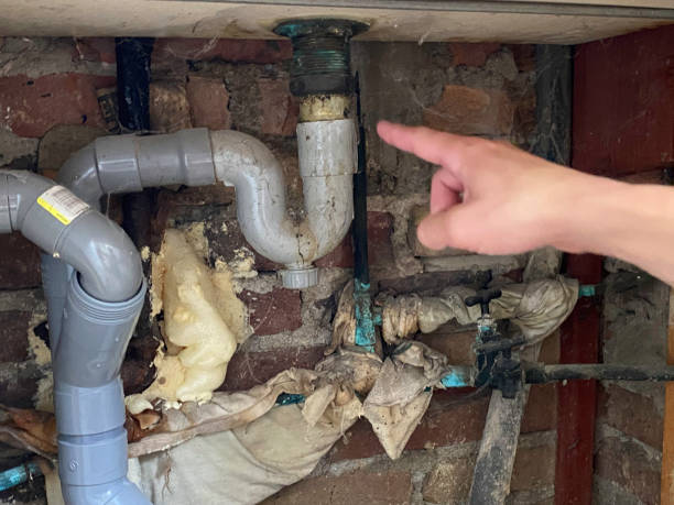 Best Water damage restoration near me  in Encinal, TX