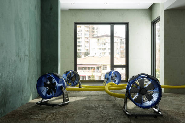 Best Water damage restoration near me  in Encinal, TX